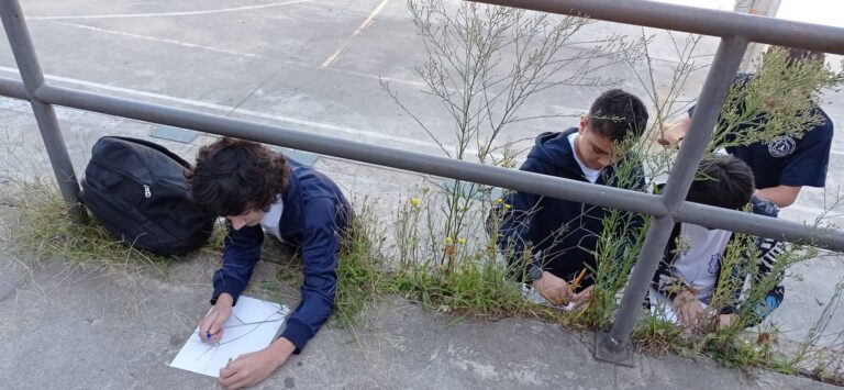 WhatsApp Image 2024-04-18 at 9.03.48 AM (1)