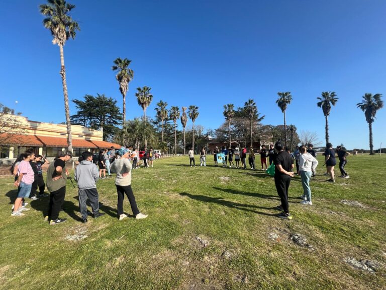 WhatsApp Image 2024-10-08 at 4.03.26 PM (1)