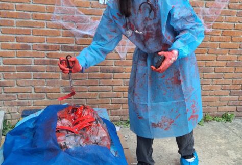 WhatsApp Image 2024-10-31 at 12.04.41 PM